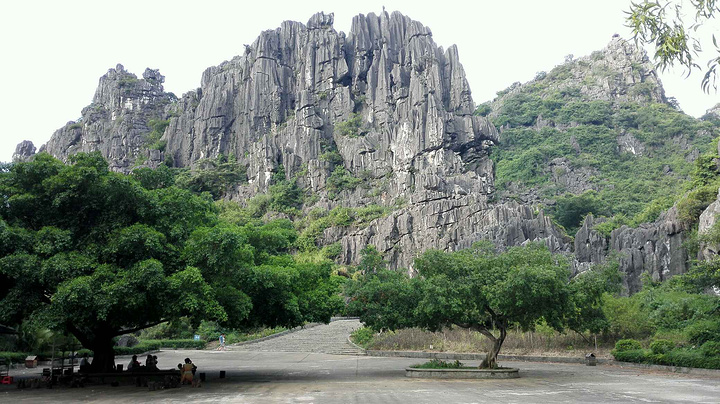 江阳区旅游景点,泸州江阳分水镇旅游景点