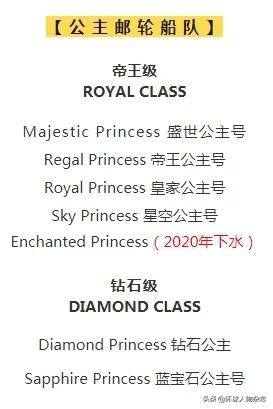 公主号游轮事件始末,公主号沉船事件纪录片