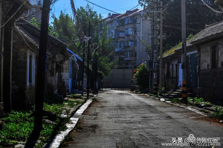 烟台所城里承载着多少回忆,烟台所城的来历