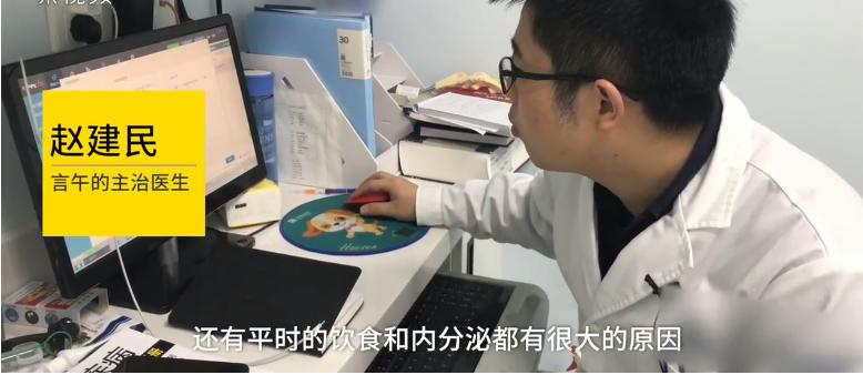 狗狗萨摩耶生病前照,得糖尿病的狗萨摩耶