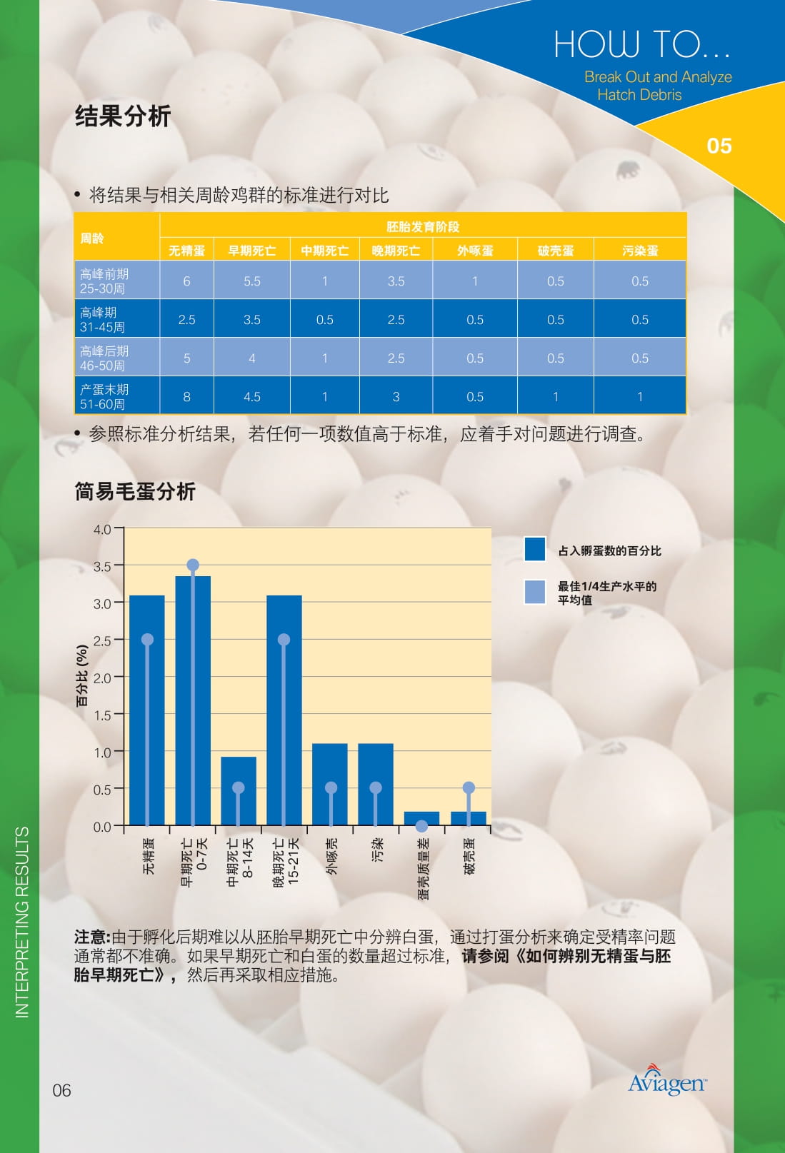 毛蛋做实蛋方法,打蛋怎么做又滑又嫩没气泡