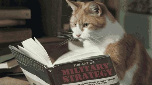 有个爱接吻的女朋友是什么体验,有个很会接吻的对象什么感觉