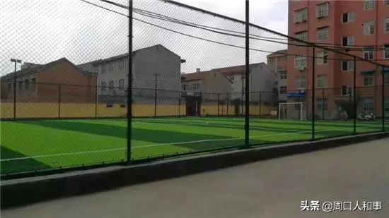 郸城体育特长生,体育爱好者的福利