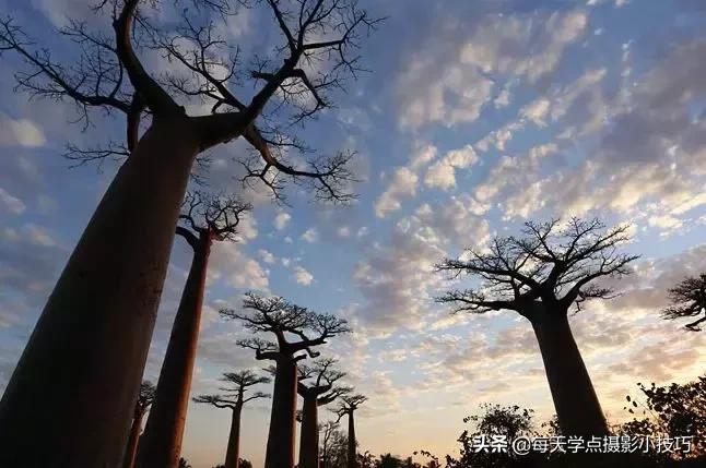 6d佳能相机入门教程,佳能6d入门怎么保存照片