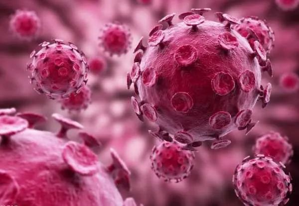 法国发现最新传染疫情,巴黎发现神秘病毒