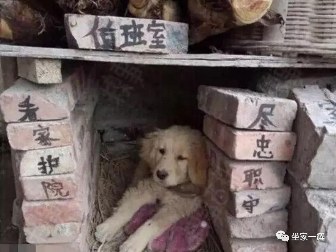 常见的20种网赚骗术揭秘,韭菜有效套路