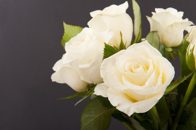 她做保姆这些年-豪门生活之暗流汹涌(七)