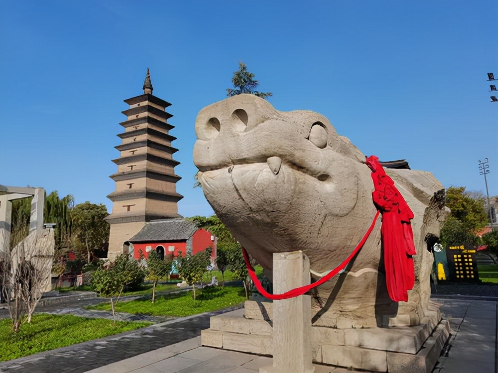 我为什么推荐你选威固,我为什么建议你留在北上广