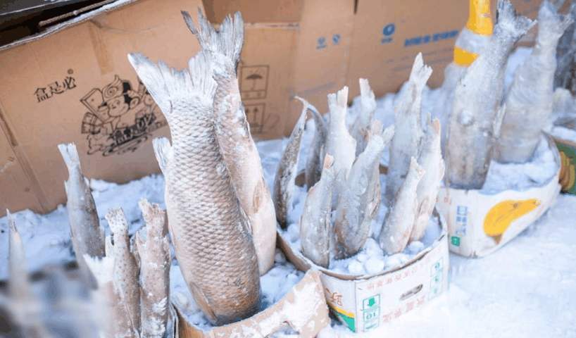 东北到底有多冷啊视频,东北到底有多冷英文