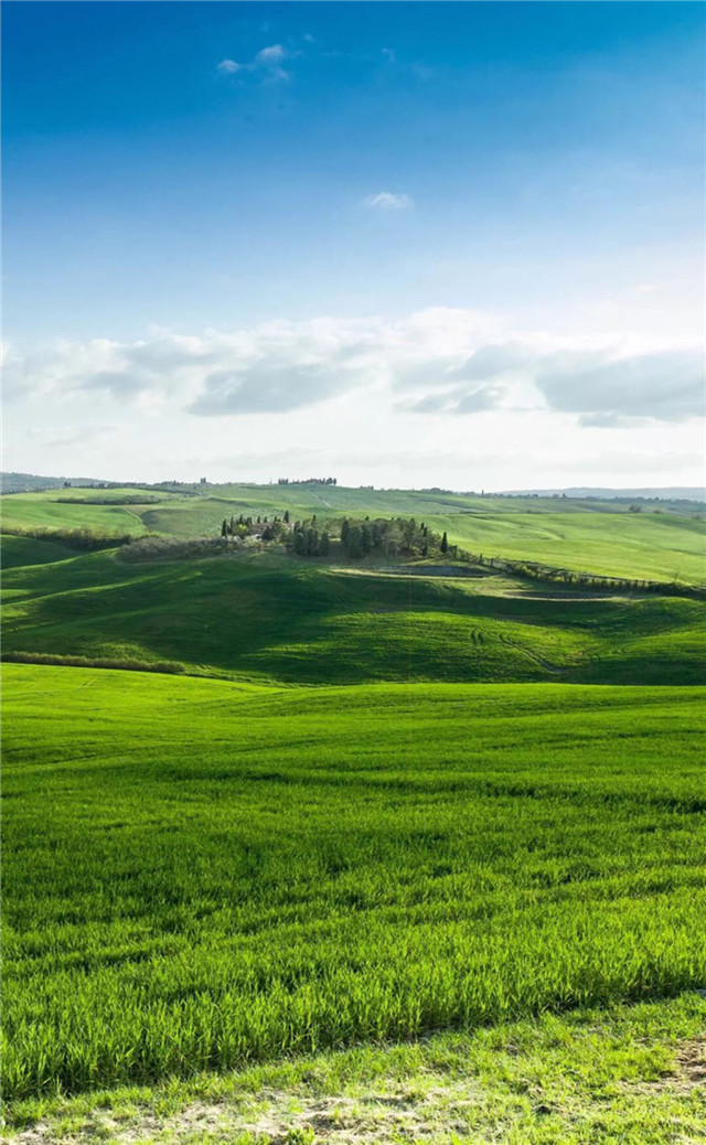 缓解眼睛疲劳动态图壁纸,好看的手机壁纸护眼高清图文