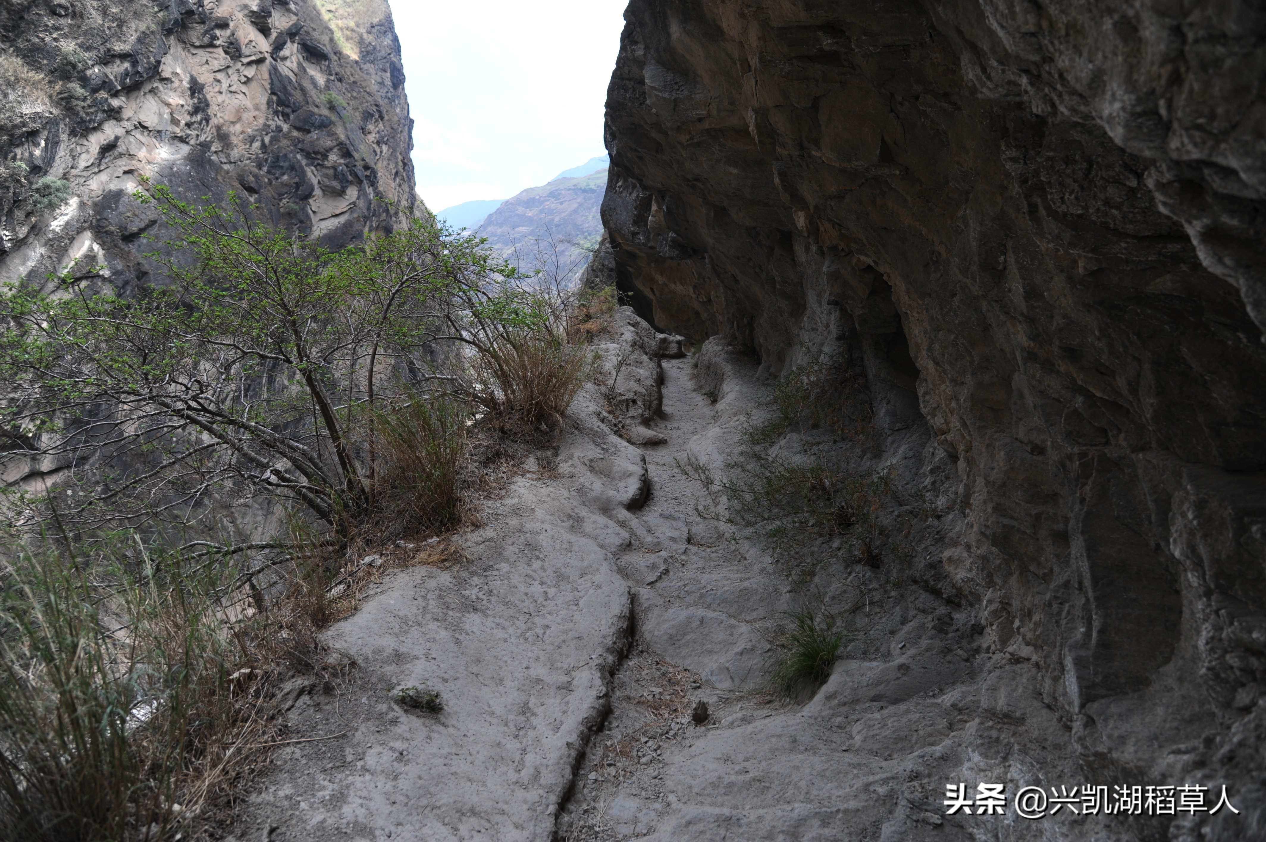 云南行记之徒步丽江虎跳峡