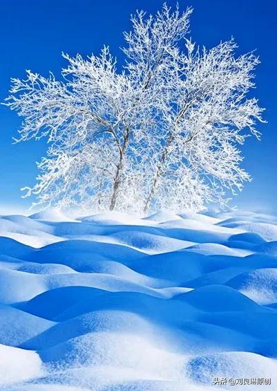 我对的对联在哪里找到,我对的对联