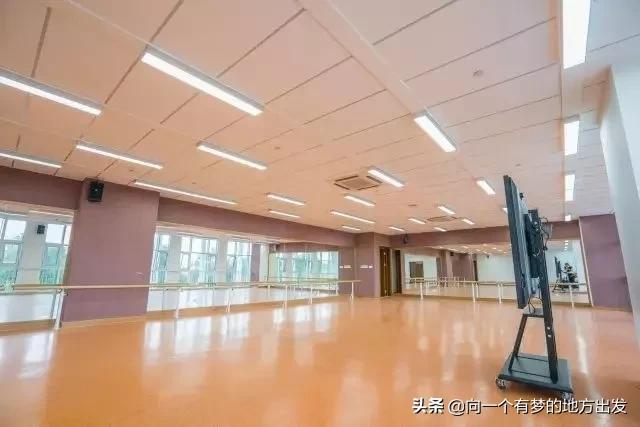 园区星湾学校中考情况,星河明珠湾学校中考成绩