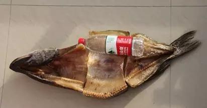 黑龙江五大名鱼,黑龙江最顶级的鱼