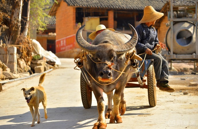 五一适合亲子游的五日游,亏欠孩子的时光用什么补