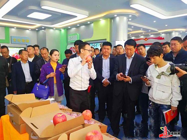 鍔涢噺2020,鍔涢噺2022