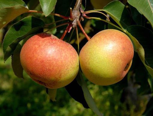 秋季约上三五好友一起去露营烧烤,来延边开始秋天的旅行