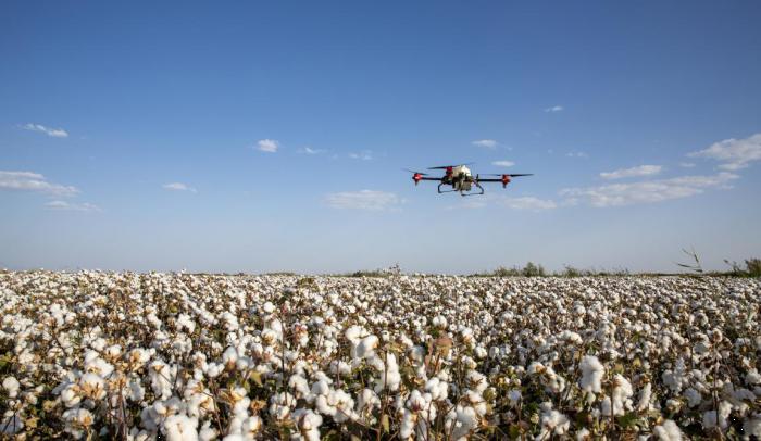 无人机飞防前景怎么样,植保无人机有什么优势