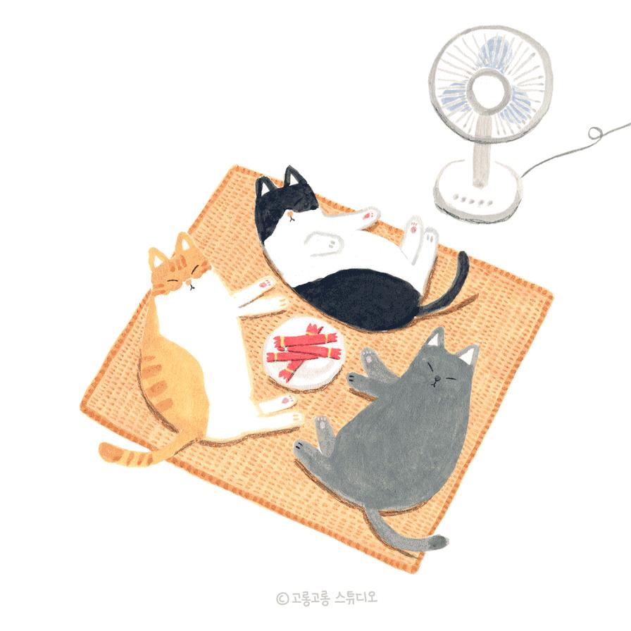 猫病视频,猫肾脏病视频大全