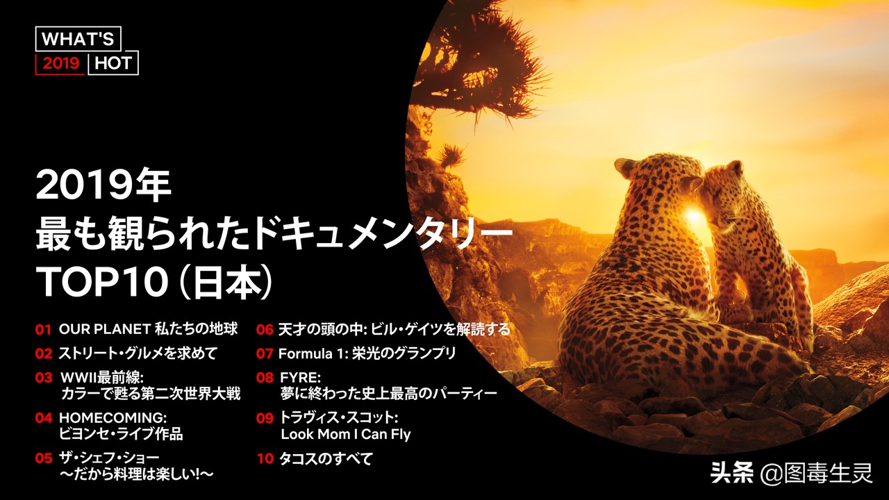 全裸监督鬼影特攻EVA-NETFLIX2019年日本热门排名公布