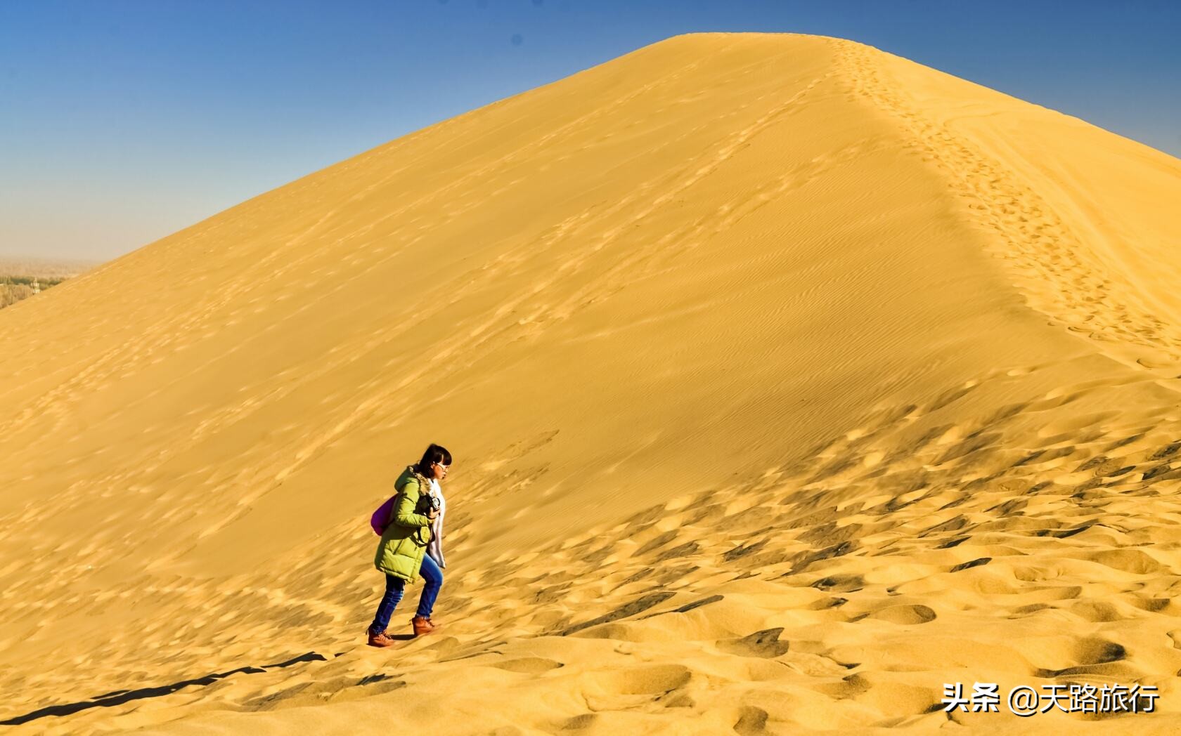 哪些职业可以成为自由职业者,如何边赚钱边旅行,实现自由梦想!
