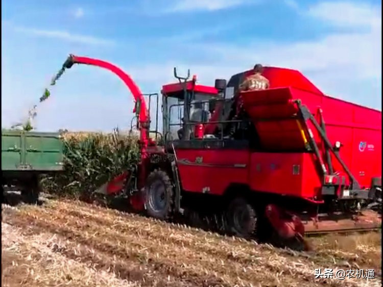 牧神玉米收割机视频大全2020,大品牌的产品应该值得信赖