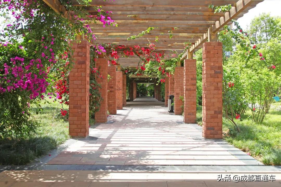 花开的季节合唱视频,花开的季节和你相遇