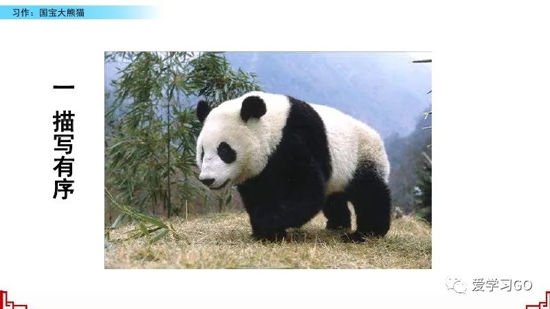 部编版三年级下册国宝大熊猫作文,三年级下作文国宝大熊猫写作指导