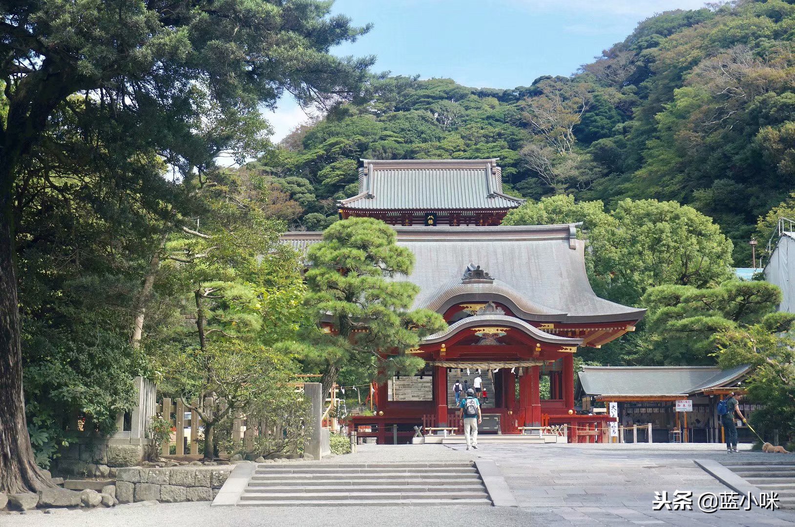 东京富士山镰仓一日游,东京旅游攻略镰仓一日游