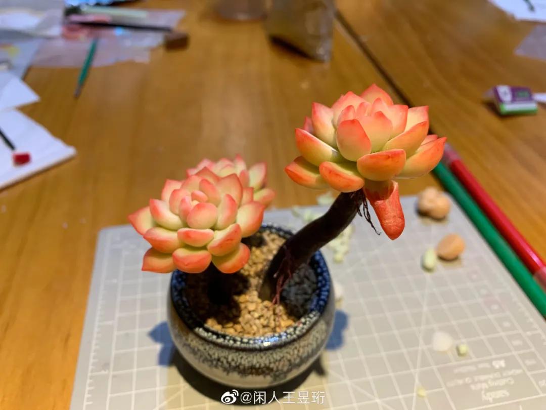 王昱珩上学经历,清华毕业的王昱珩