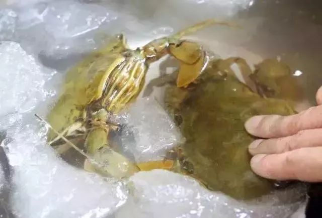 病入膏肓的吃货 (病入膏肓的美味)