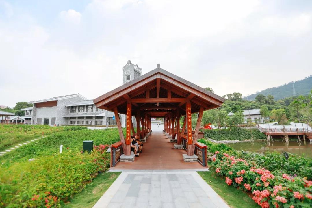 簕竹杜鹃谷公园,好看的杜鹃谷公园