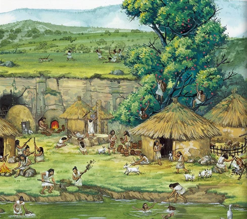 拿破仑读完历史,拿破仑与哲学