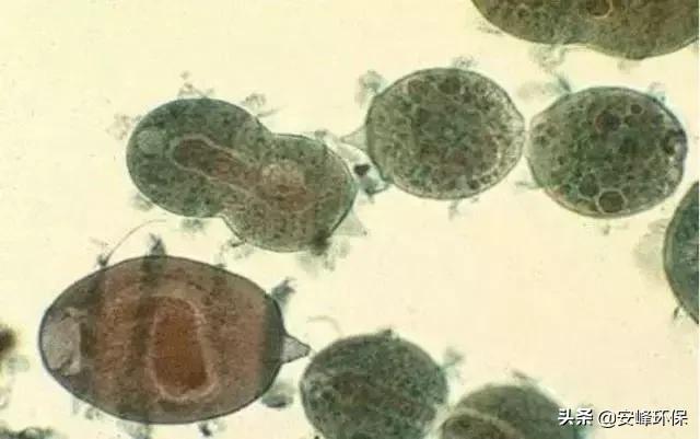 工业水处理要掌握哪些知识,工业水处理有什么坏处