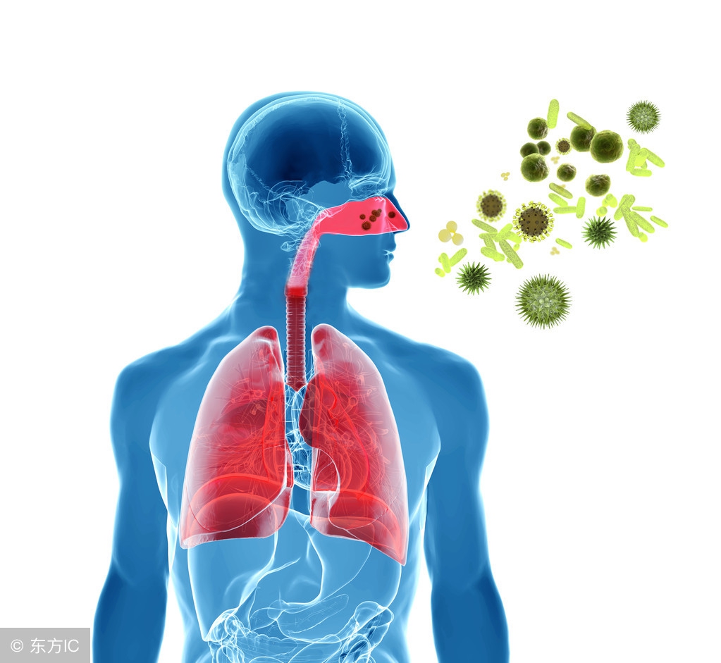 女人一生有多少女性疾病,女性容易出现的一些高发病