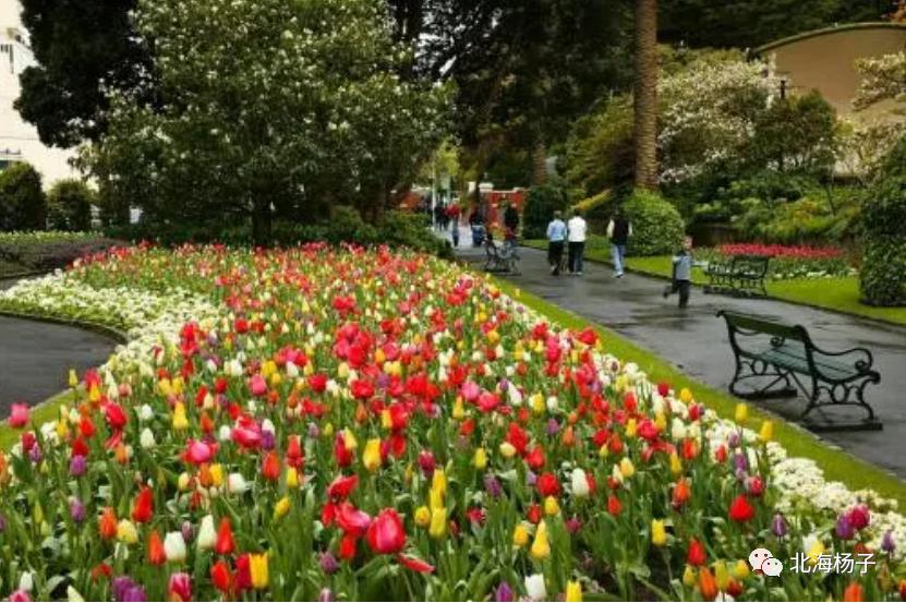 中国气候宜居城市2021,2021亚洲最宜居城市