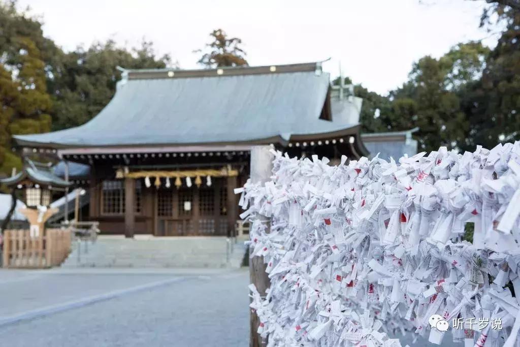 日本东京熊本熊,日本熊本游