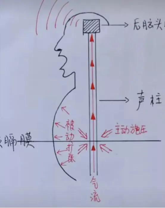 气息的讲解,气息支撑知识点