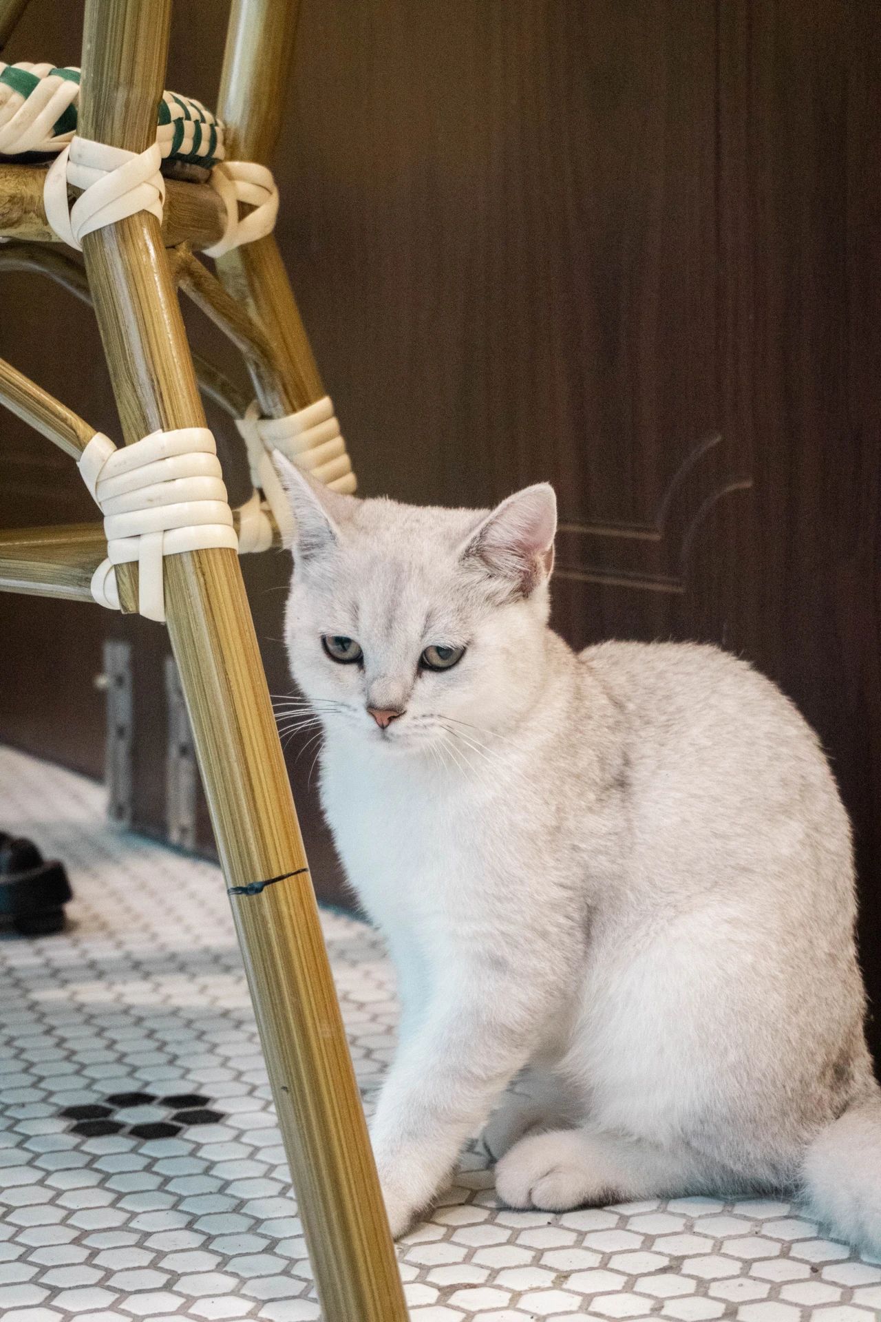 上海最新的15家特色咖啡馆,上海网红咖啡馆