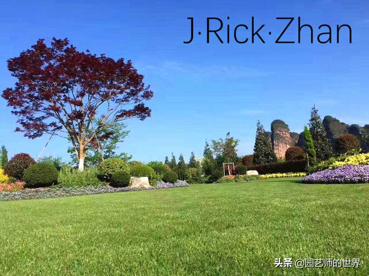 适合北方庭院种植的低矮草坪,家庭庭院怎样混搭种植草坪和蔬菜