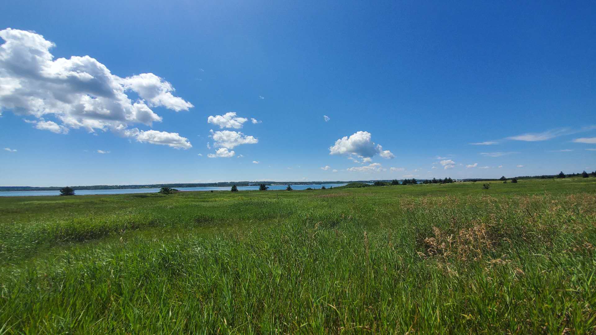 爱德华王子岛旅游,爱德华王子岛避暑之旅