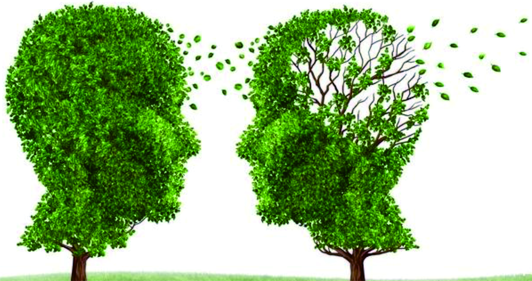 我家里的这个老人，有点不一样