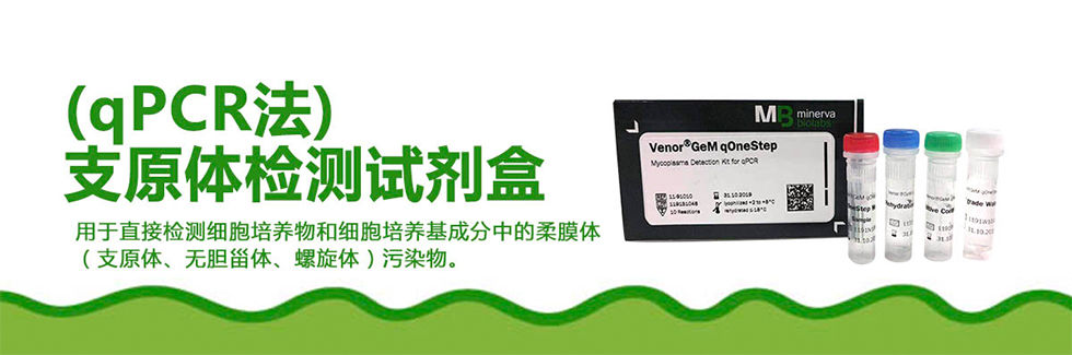 支原体病毒要多高温能杀死,支原体怎么才算彻底杀死
