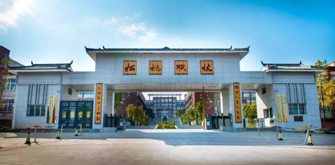 厉害了我们的新时代内容简介,松桃中等职业学校