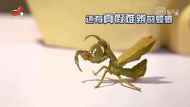 折纸世界上最好玩的折纸玩具,好玩的折纸能让孩子玩一整天