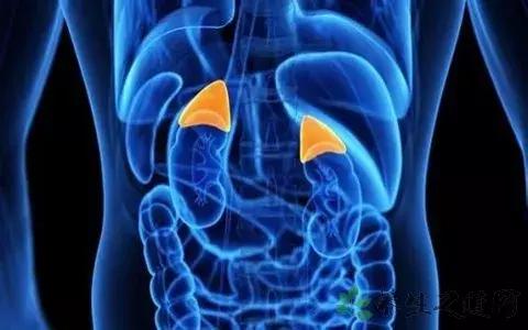 鼻窦炎过敏性鼻炎最好特效药,治疗小儿过敏性鼻炎的特效药