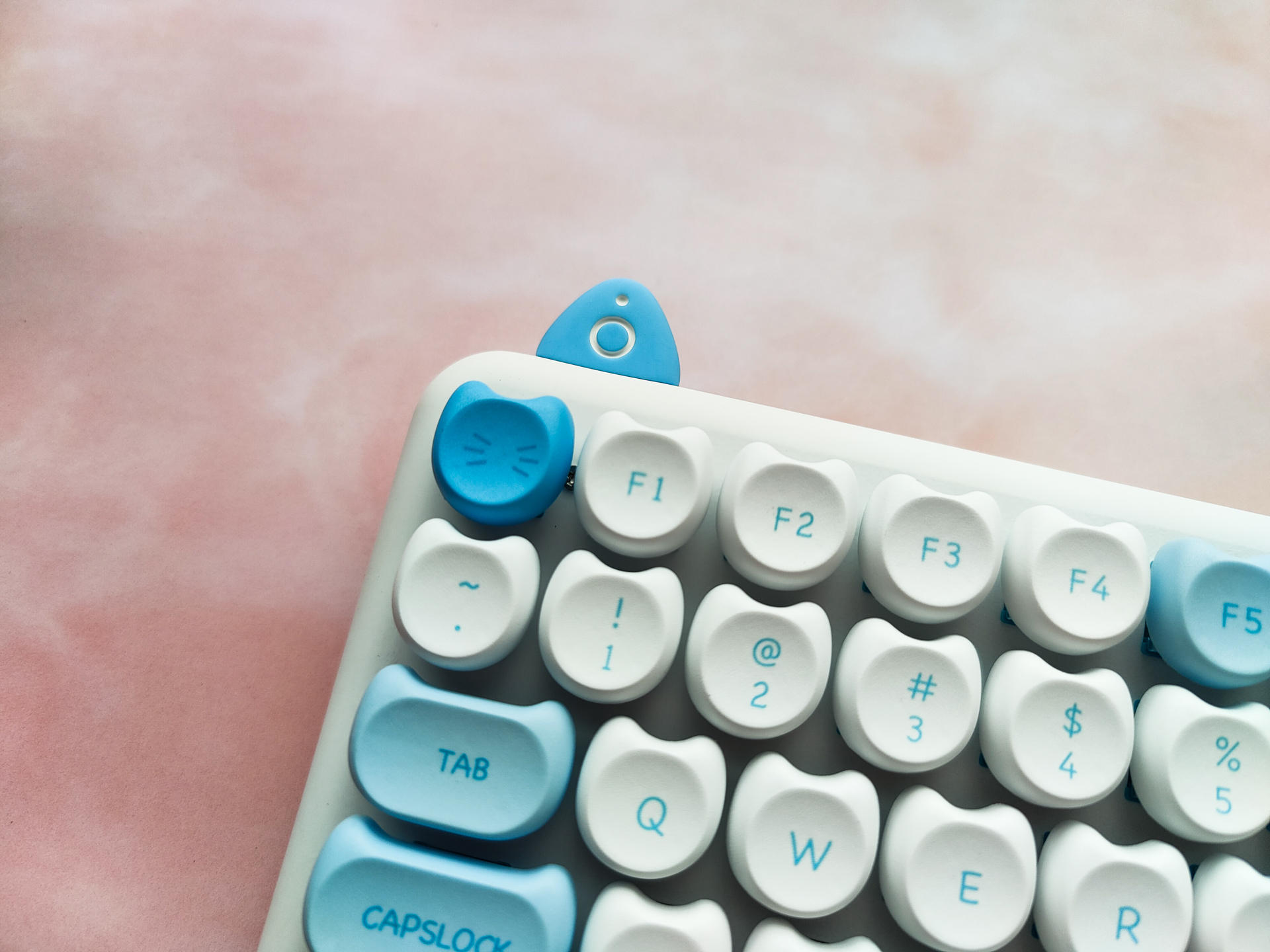 给领导迟到的礼物——IQUNIXM80萌萌波斯简单晒