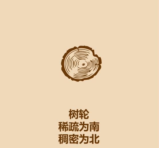 户外探险怎么看方向,户外冒险怎么辨别方向