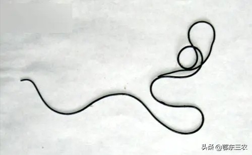 农村路上看到一条铁丝,在农村遇到这种电线不要碰