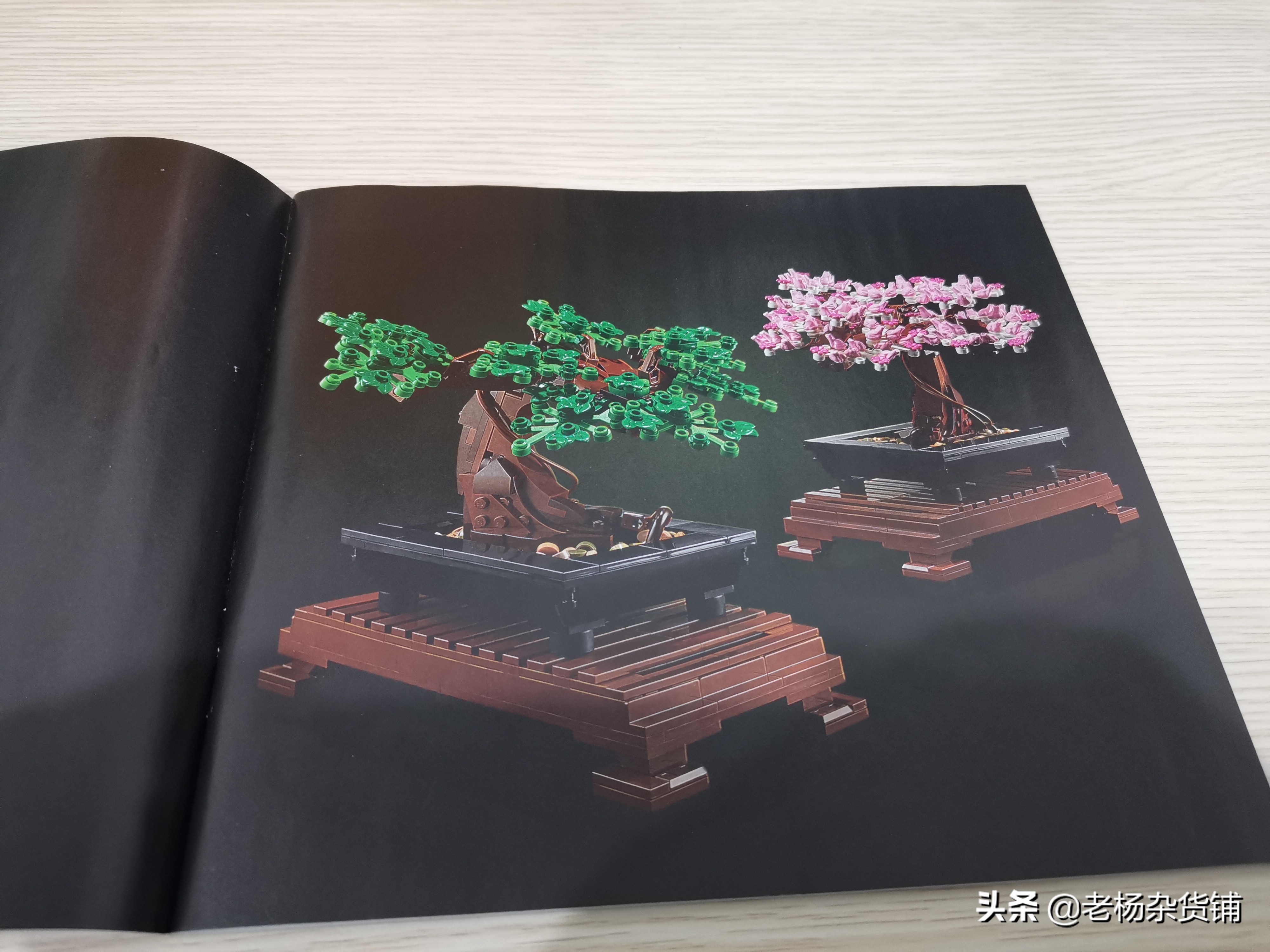 lego花卉艺术,lego乐高植物
